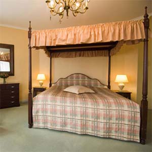 2 person junior suite with king bed, and private facilities (bath and shower)